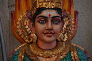 LITTLE INDIA (149)